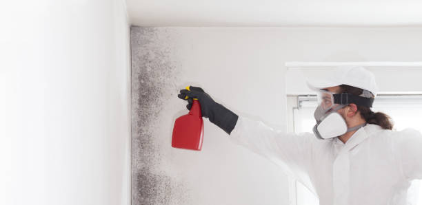 Trusted Claysburg, PA Mold Remediation Experts